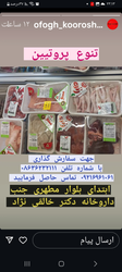 فروش انواع پروتئینهای بستهبندی شده با تنوع بالا و آدرس دقیق در بلوار مطهری، تماس بگیرید! 🥩📞